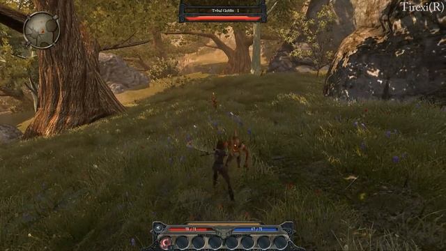 Divinity 2 Ego Draconis HD gameplay смотреть онлайн