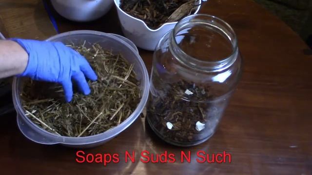 Using Store Bought Oyster Mushroom Stems To Grow Mycelium In A Jar Will It Work