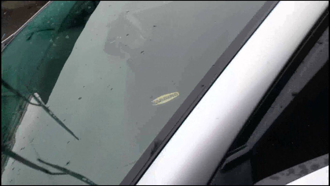 Антидождь 2   Лобовое стекло обработано