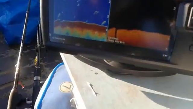 Эхолот Garmin striker 7sv смотреть онлайн