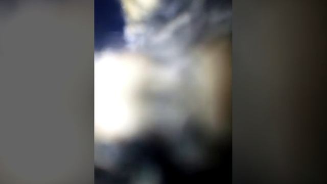 Нападение бешеной лисы смотреть онлайн