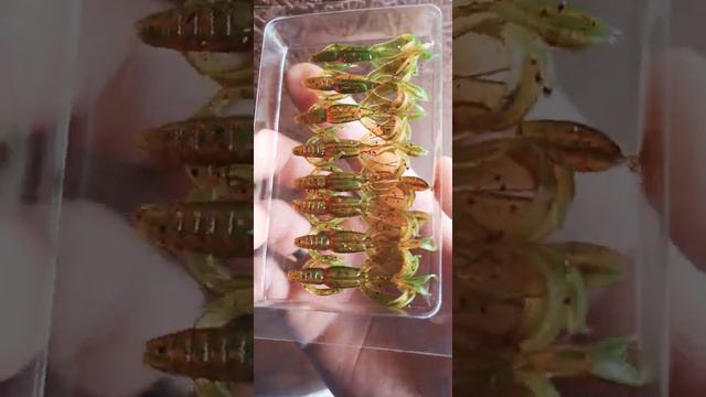 CRAZY FLAPPER 2 дюйма. ASTRUM силиконовые приманки для ВСЕХ.