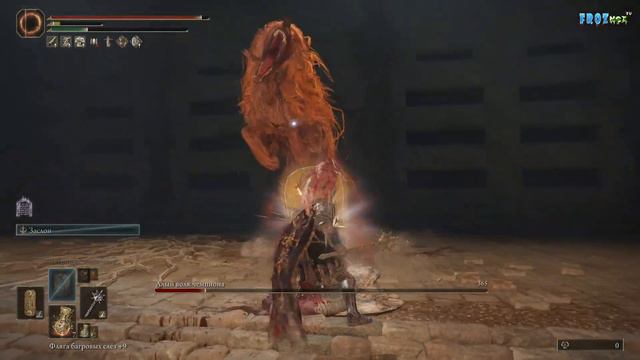 АЛЫЙ ВОЛК ЧЕМПИОНА - RED WOLF OF THE CHAMPION 🔥 ELDEN RING смотреть онлайн