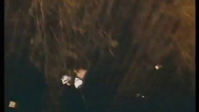 City Of Joy Trailer 1992 смотреть онлайн