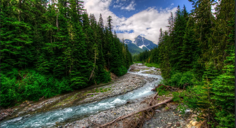 Великолепное сильное течение реки. Пышный зеленый горный лес ✦ Звуки леса и пение птиц ✦ Relax Sleep смотреть онлайн