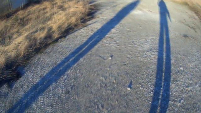 Сталк по заброшенным местам №9 Заброшенная лесорубка смотреть онлайн