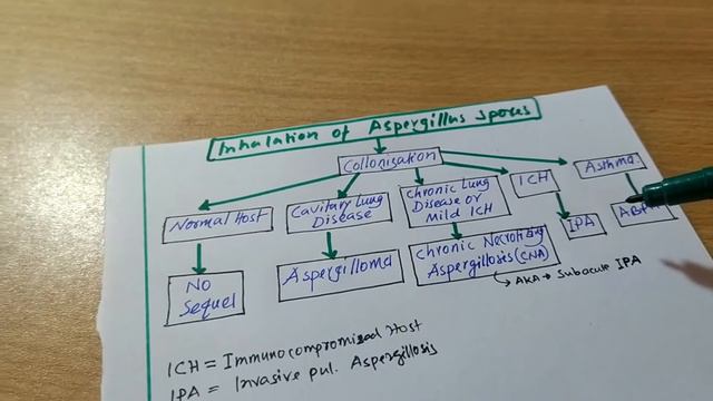 Aspergillosis classified (simplified) смотреть онлайн