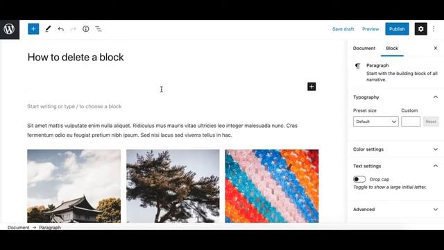 How to Remove a Block in WordPress Gutenberg Editor? смотреть онлайн