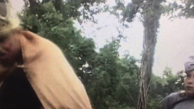 monty python reference in jamfilmsvideos смотреть онлайн
