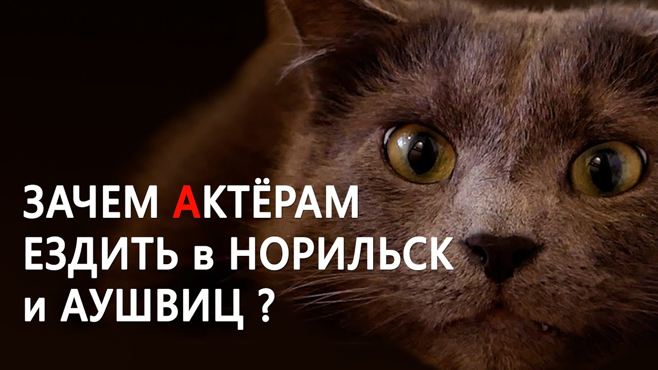 ЗАЧЕМ АКТЁРАМ ЕЗДИТЬ в НОРИЛЬСК и АУШВИЦ ? смотреть онлайн