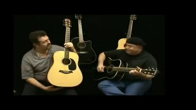 Eagletone DG-1 Acoustic/Electric Guitar