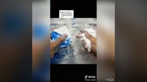 Слайм +мыло+мел и истории  ?страшные истории ? (видео из тик тока?)