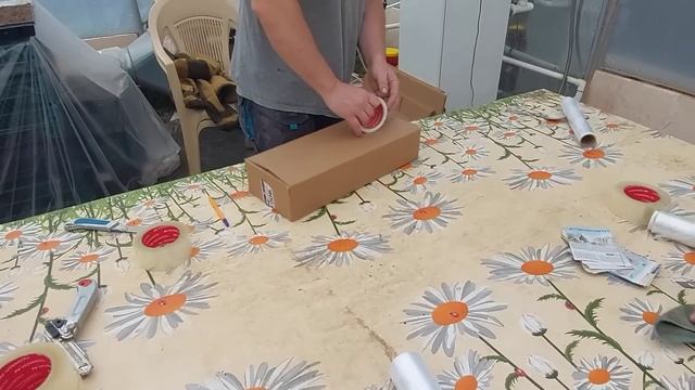 Как мы упаковываем саженцы для отправки в регионы