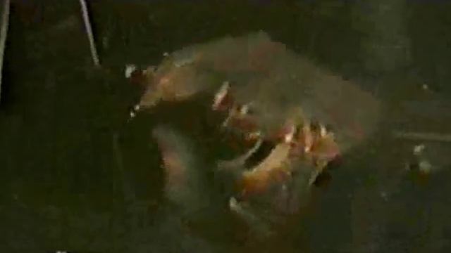 SATAN PANONSKI - Đuro 6.6.1989 Part 2 смотреть онлайн