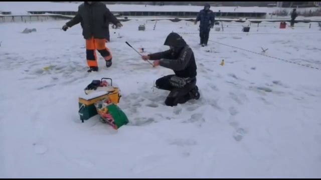Рыбалка «Сытый Кот» смотреть онлайн