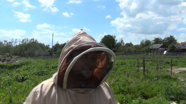 Расширил пасеку в 2 раза! Словил 4 роя! Метод Демари работает на все 100! Пчёлы не роятся! смотреть онлайн