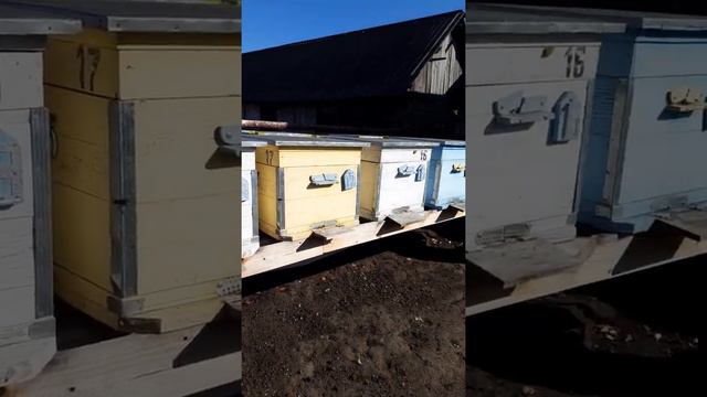 воронежская обл.новые ульи. смотреть онлайн