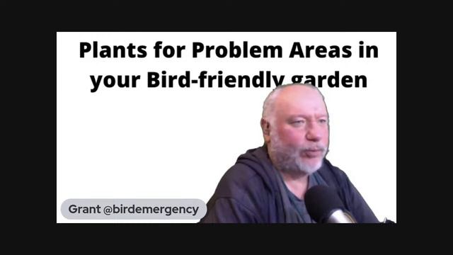Selecting plants for difficult places in your Bird-friendly garden смотреть онлайн