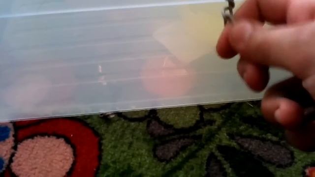 ЧТО НУЖНО ЗНАТЬ ПОКУПАЯ КРОЛИКА В ДОМЕ