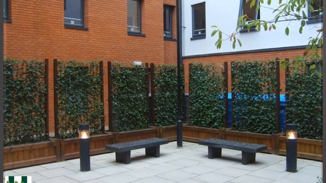 Hedera Screens Ltd Green Screens Photobook смотреть онлайн