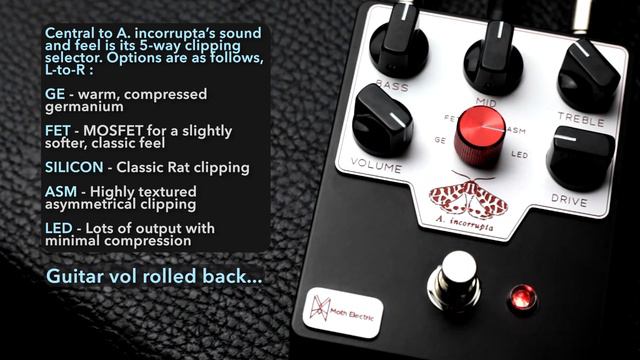 Moth Electric A. incorrupta Distortion Pedal смотреть онлайн
