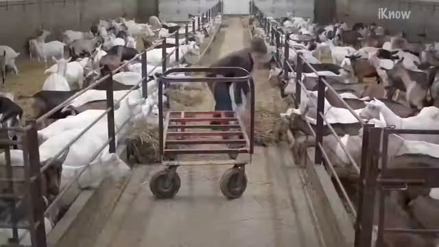8 Инновационные технологии в сельском хозяйстве смотреть онлайн