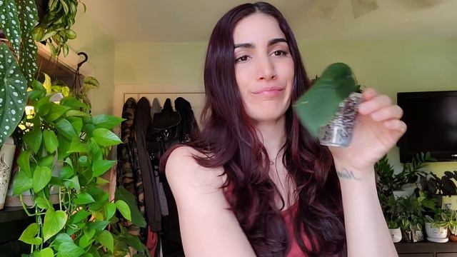 A MONTH OF PLANT SHOPPING & HUGE HAUL!! Tons Of Begonia + Rare Plant Mail || May 2021 Vlog 🌻