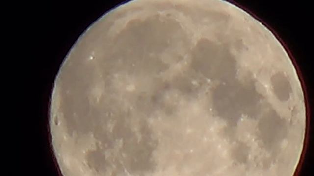 На рыбалке, проверка зума ночью смотреть онлайн