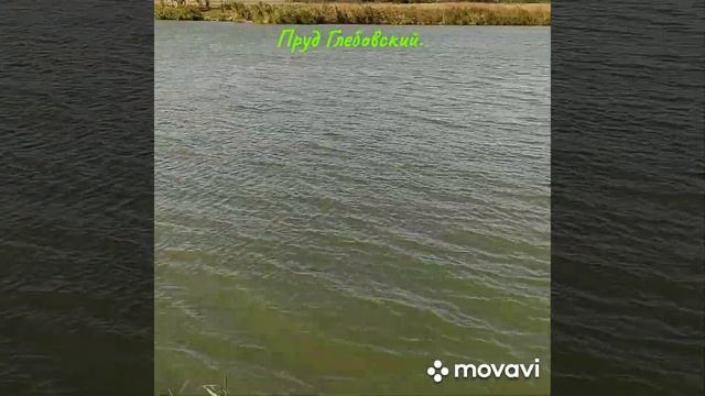 Рыбалка-платник. Пруд Глебовский (с. Гражданское, Ставропольский край) смотреть онлайн