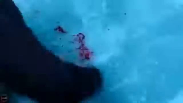الاي لاي لاي لحن نموت смотреть онлайн
