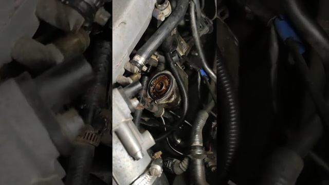 ауди А4 б6 1.8т вытекло масло на щупе сухо смотреть онлайн