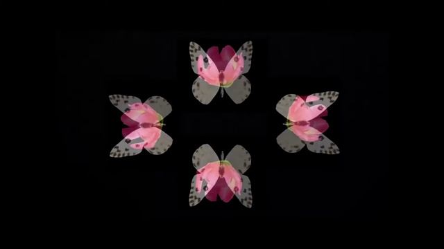 3d голограмма цветы и бабочки, видео для 3d пирамиды
