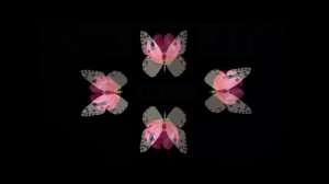 3d голограмма цветы и бабочки, видео для 3d пирамиды