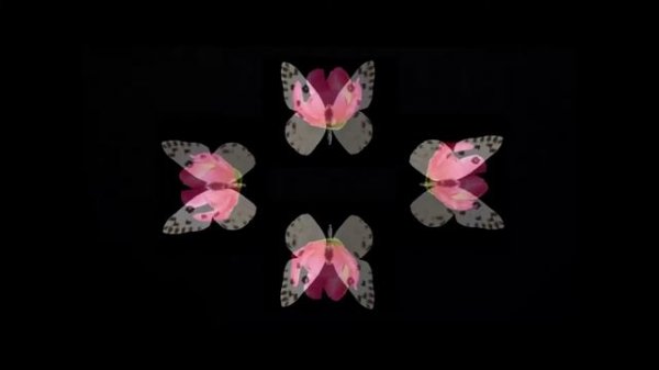 3d голограмма цветы и бабочки, видео для 3d пирамиды
