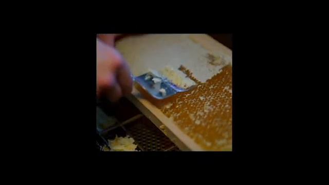 покажи мне свой мир - пасека и пчеловодство смотреть онлайн