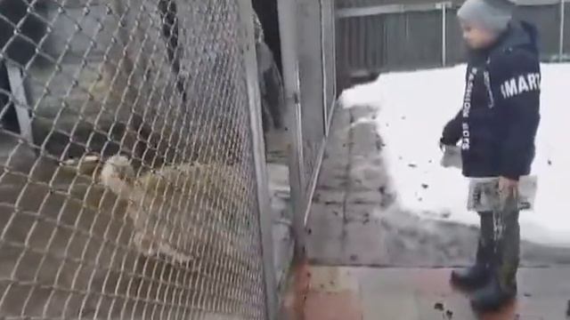 Cчастливые истории Группы поиска Рея смотреть онлайн