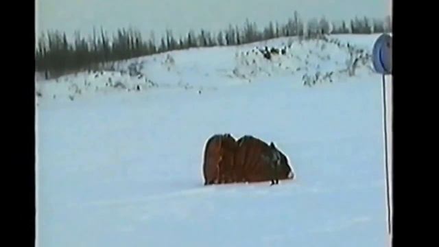 г.Норильск, прыжки с парашютом. Февраль 1998г. смотреть онлайн