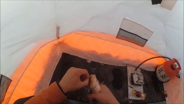 Обзор удочки с сигнализатором и ловля окуней на Белоярке 26.12.2020г смотреть онлайн