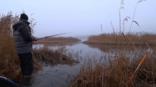 Конская плотва 43 размера) Осень на реке ловлю плотву на перловку! #плотва