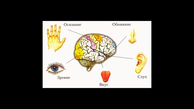 ПЛАНЕТА ТЮРЬМА. ПЛАН ПОБЕГА. ОСТАНОВКА МИРА.КЛЮЧ. смотреть онлайн