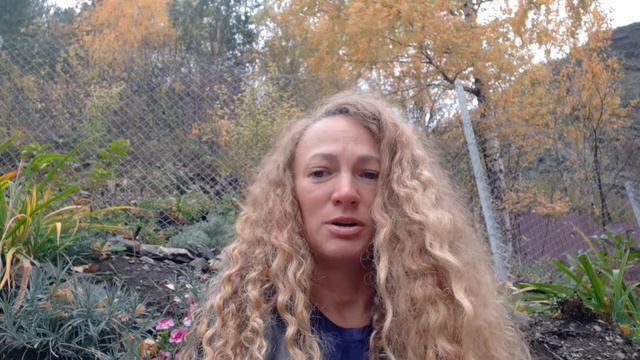 @samsonovapsiholog ПРОГРАММА РАССТАНОВКИ СЕМИ ПОКОЛЕНИЙ ПРЕДКОВ смотреть онлайн