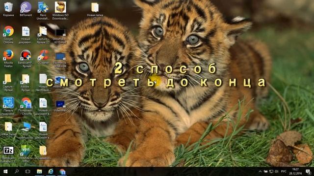 Windows 10 скачать с официального сайта  / Microsoft Office 2010-2016
