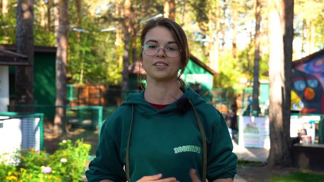 КАПИБАРА ГОША В ПОИСКАХ ВТОРОЙ ПОЛОВИНКИ смотреть онлайн