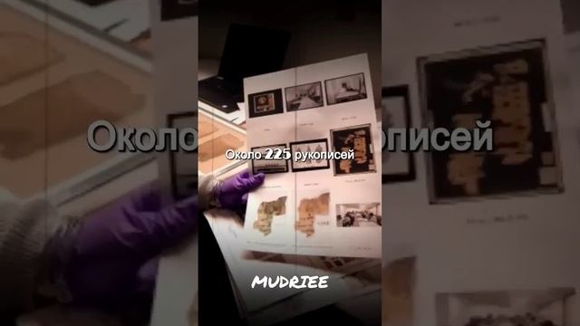 Историческое сокровище: Загадки и открытия свитков Мертвого моря смотреть онлайн