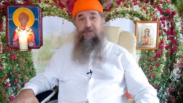 Сводка выздоровления на 26 октября