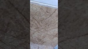 Керамическая панель вариант 2 для быстрого исполнения.