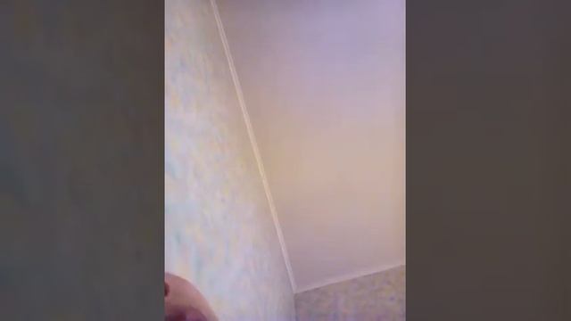 Какой самый лучший корм для кошек!????!!!?? смотреть онлайн