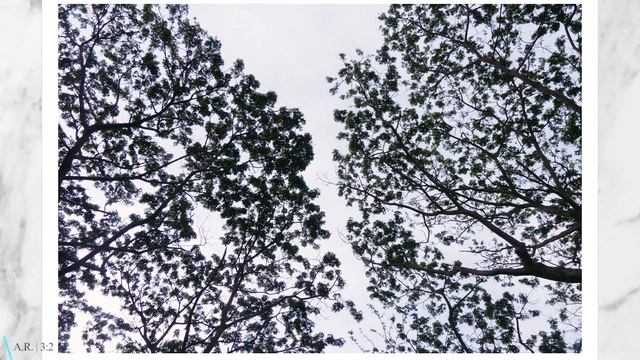 Lumix LX5 Review: The Perfect Film Camera Alternative смотреть онлайн