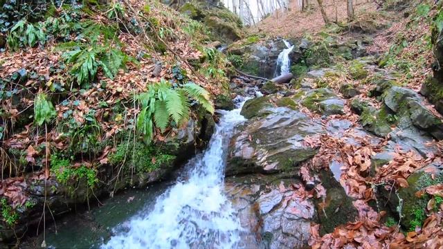 ROZA KHUTOR'20 - Alpine PUB O'Hara - Лучший горнолыжный курорт в мире смотреть онлайн
