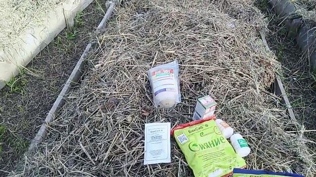 Осенняя Мега распродажа препаратов "Сияние" + доставка и упаковка в подарок // С.Х.У смотреть онлайн